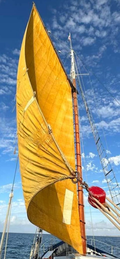 Voile jaune en tissu épais accroché à un mat de bateau en bois. La voile est tendue vers ce ciel beu parsemé de quelques nuages blancs. La mer semble calme à l'horizon et le bateau baigne dans la lumière du soleil.